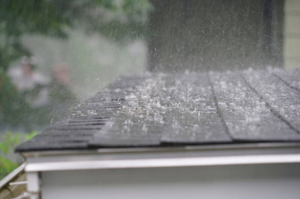 Best Roof Insulation Installation  in Kings Mountain, NC